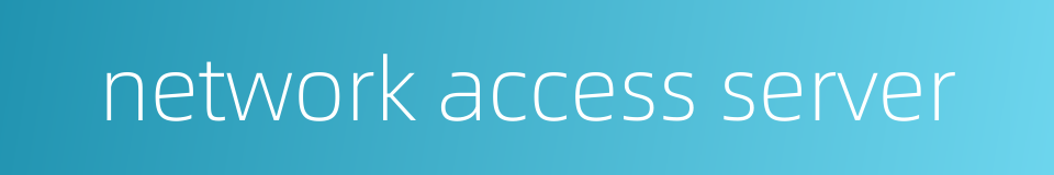 network access server的同义词