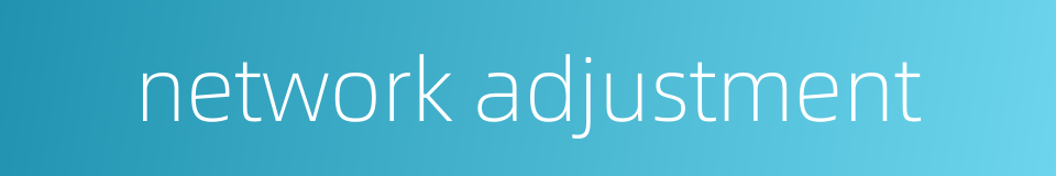 network adjustment的同义词