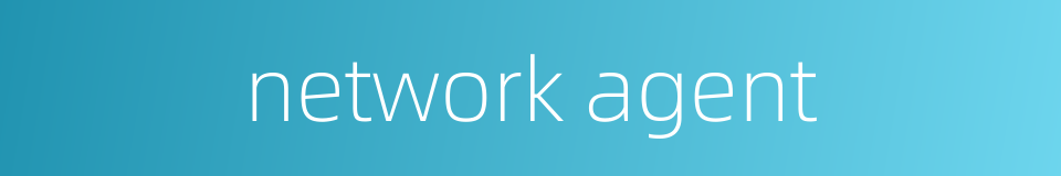 network agent的同义词