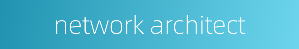 network architect的同义词