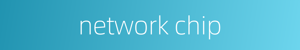 network chip的同义词