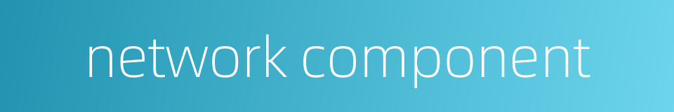 network component的同义词