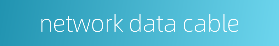 network data cable的同义词