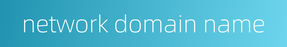 network domain name的同义词