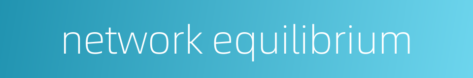 network equilibrium的同义词