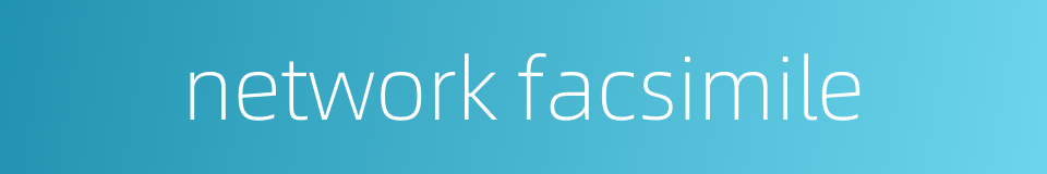 network facsimile的同义词