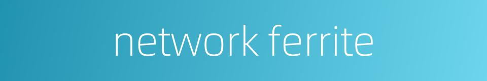network ferrite的同义词