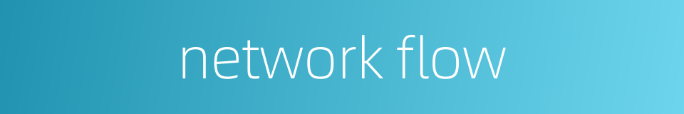 network flow的同义词