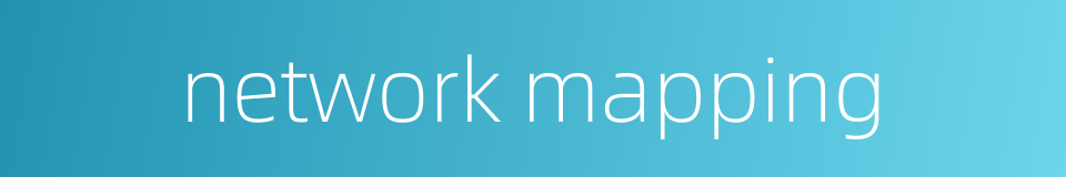 network mapping的同义词