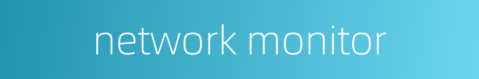 network monitor的同义词