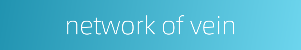 network of vein的同义词