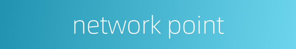 network point的同义词