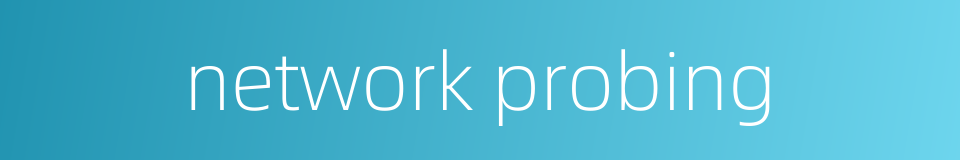 network probing的同义词