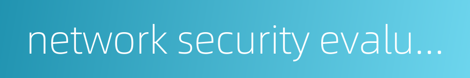 network security evaluation的同义词