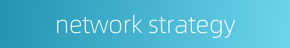 network strategy的同义词