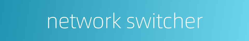 network switcher的同义词