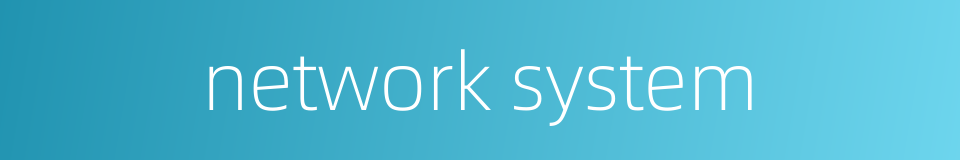 network system的同义词