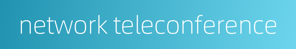 network teleconference的同义词