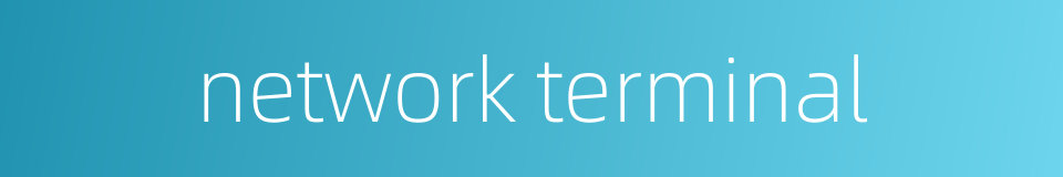 network terminal的同义词