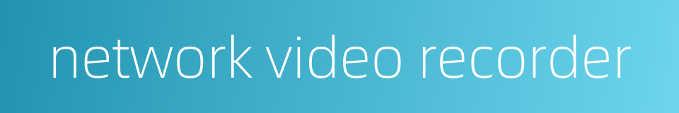 network video recorder的同义词