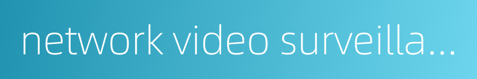 network video surveillance的同义词