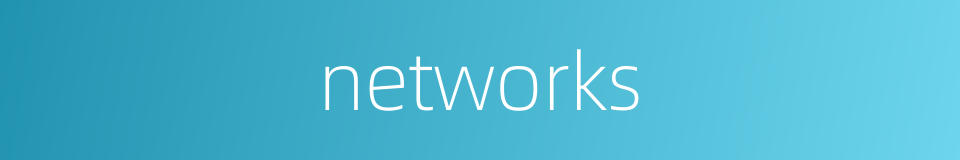 networks的同义词