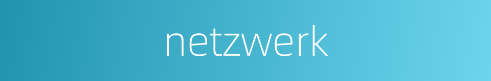 netzwerk的同义词