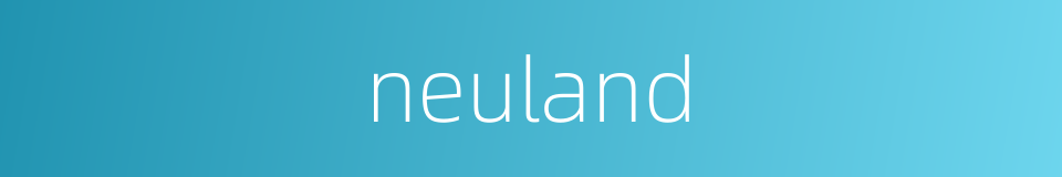 neuland的同义词