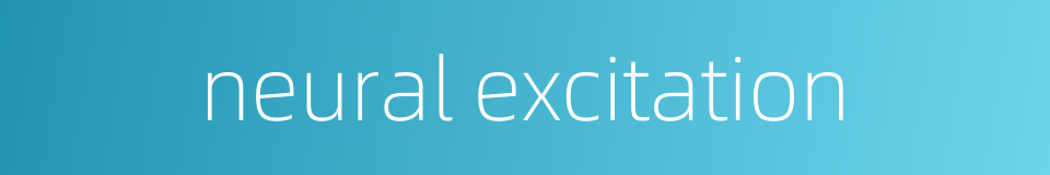 neural excitation的同义词