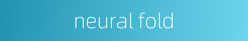 neural fold的同义词