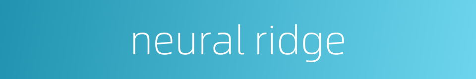 neural ridge的同义词