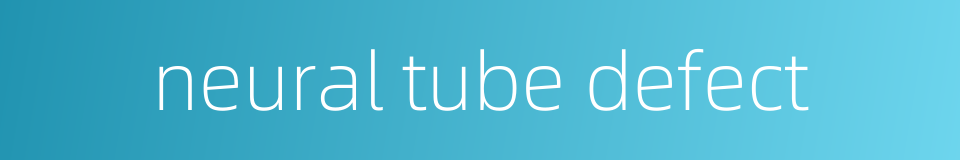 neural tube defect的同义词