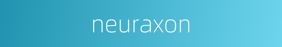 neuraxon的同义词