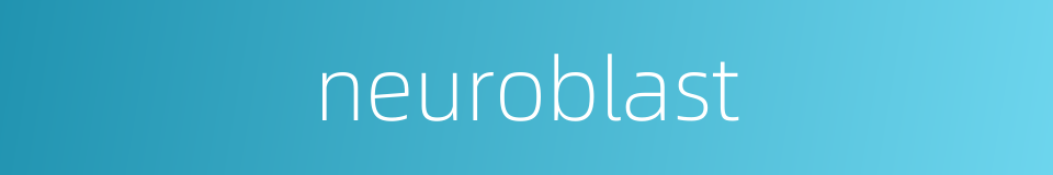 neuroblast的同义词