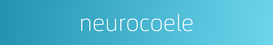 neurocoele的同义词