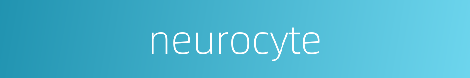 neurocyte的同义词
