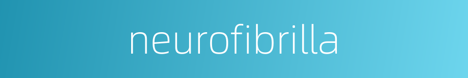 neurofibrilla的同义词
