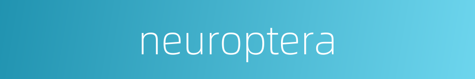 neuroptera的同义词
