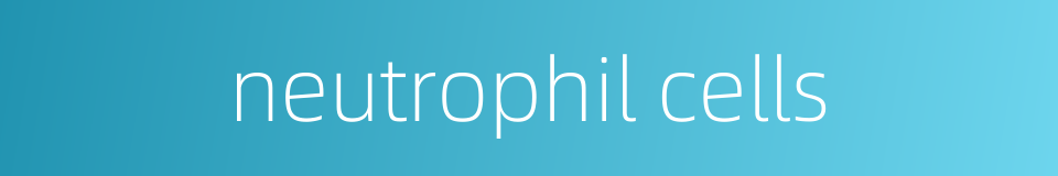 neutrophil cells的同义词
