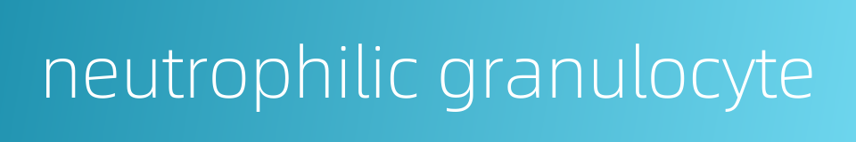 neutrophilic granulocyte的同义词