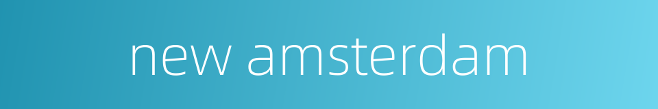 new amsterdam的同义词