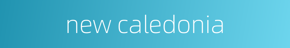 new caledonia的同义词