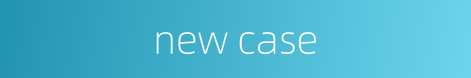 new case的同义词