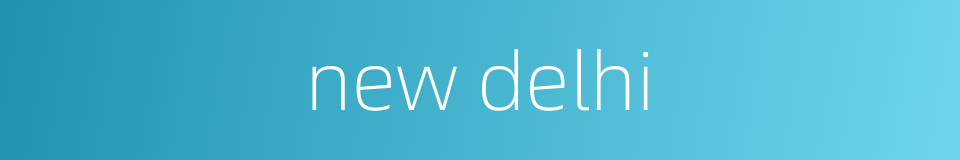 new delhi的同义词