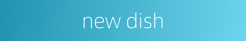 new dish的同义词