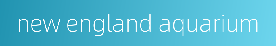 new england aquarium的同义词