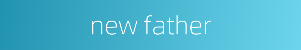 new father的同义词
