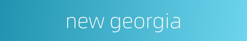 new georgia的同义词