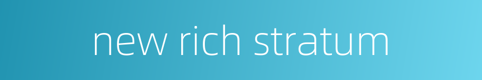 new rich stratum的同义词