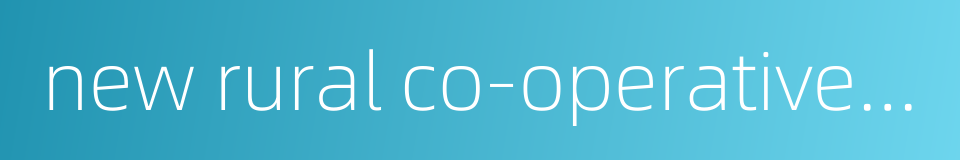 new rural co-operative medical system的同义词